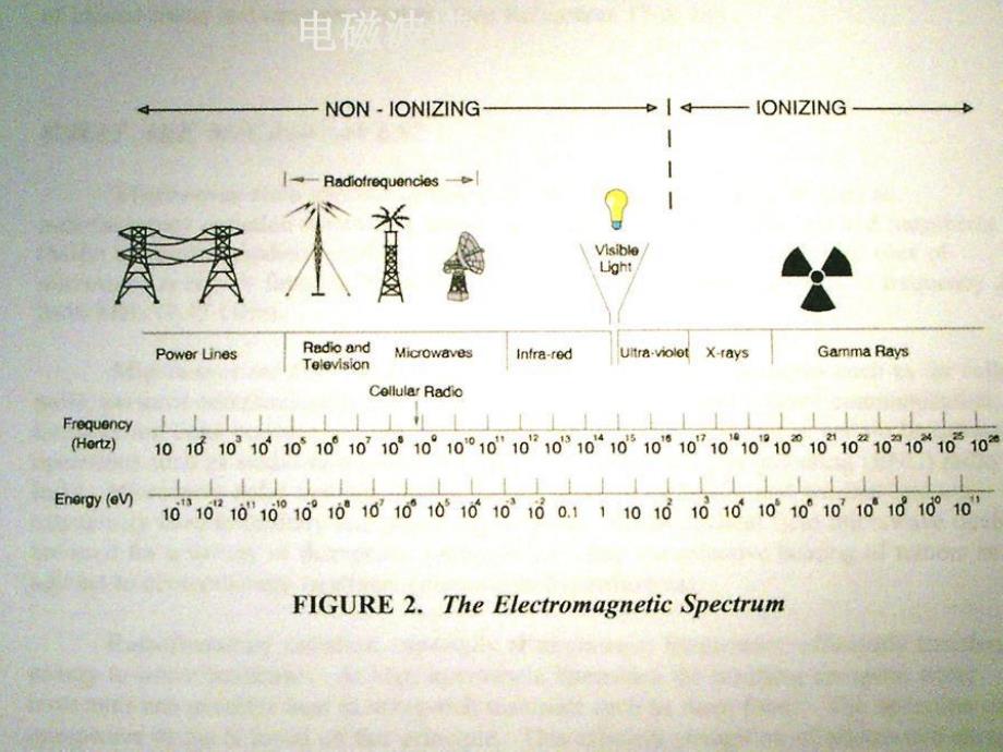 鲜红斑痣的激光治疗.pdf_第2页