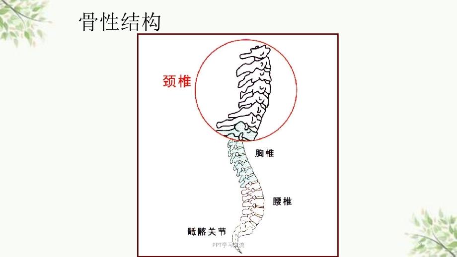 颈椎病的健康教育课件_第3页