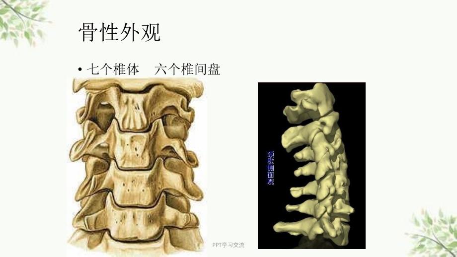 颈椎病的健康教育课件_第4页