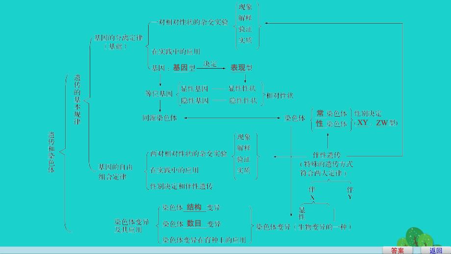 高中生物 第三章 遗传和染色体章末整合提升课件 苏教版必修2_第4页