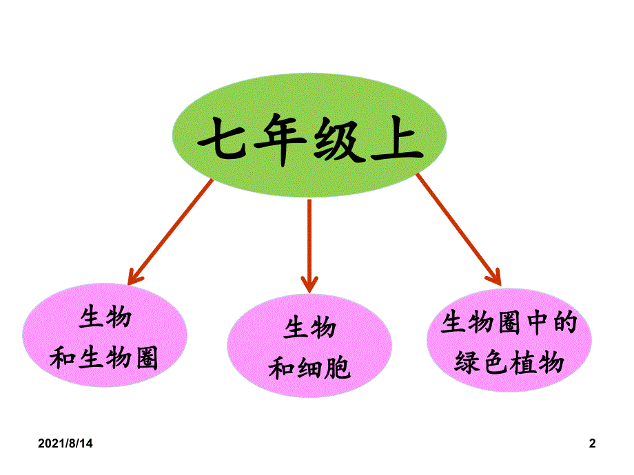 初中生物七年级上知识框架_第2页