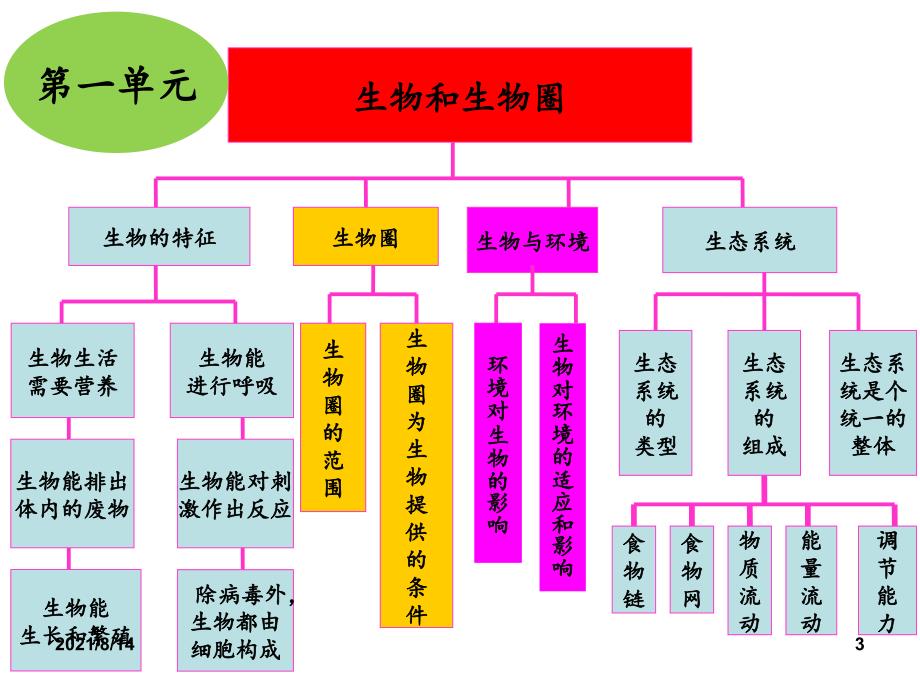 初中生物七年级上知识框架_第3页