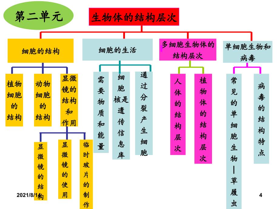 初中生物七年级上知识框架_第4页