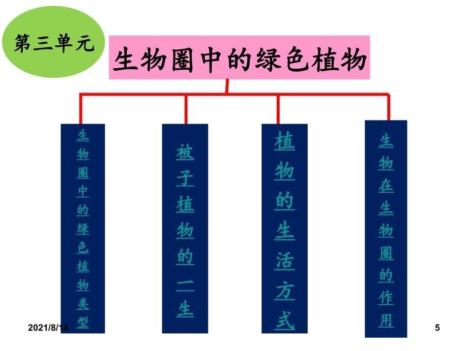 初中生物七年级上知识框架_第5页