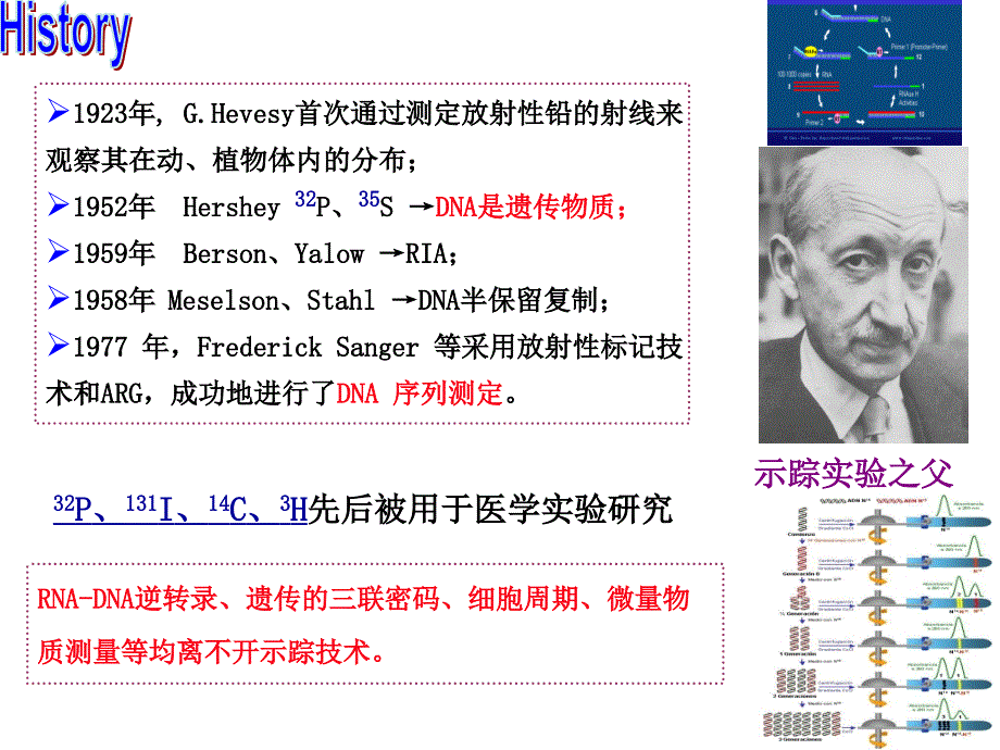 核医学第4章放射性核素标记化合物_第3页