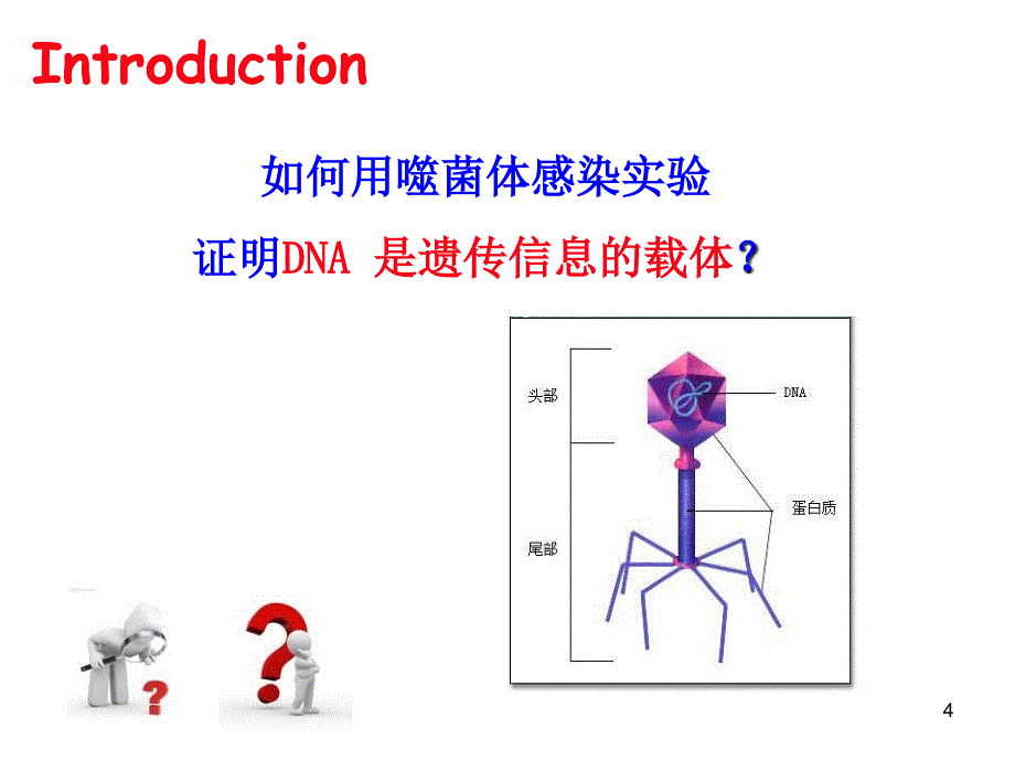 核医学第4章放射性核素标记化合物_第4页