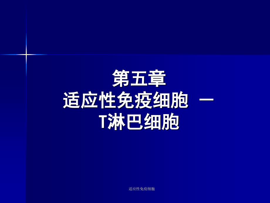 适应性免疫细胞课件_第1页