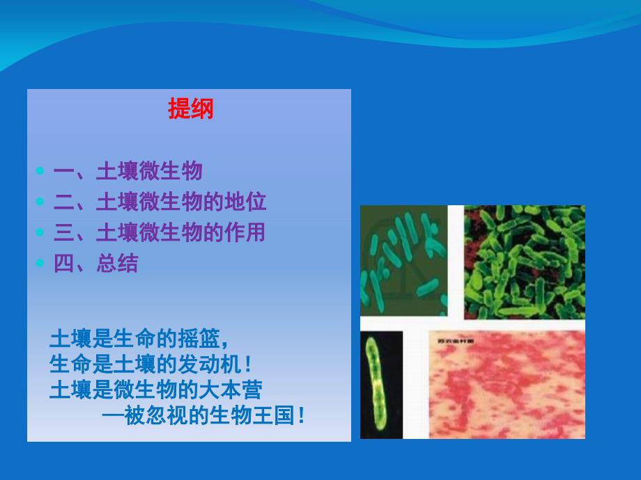 土壤微生物的地位和作用_第2页