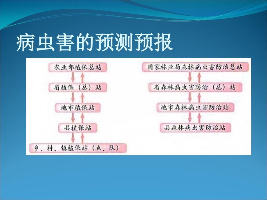 《植物病虫害的防治原理和方法》_第4页