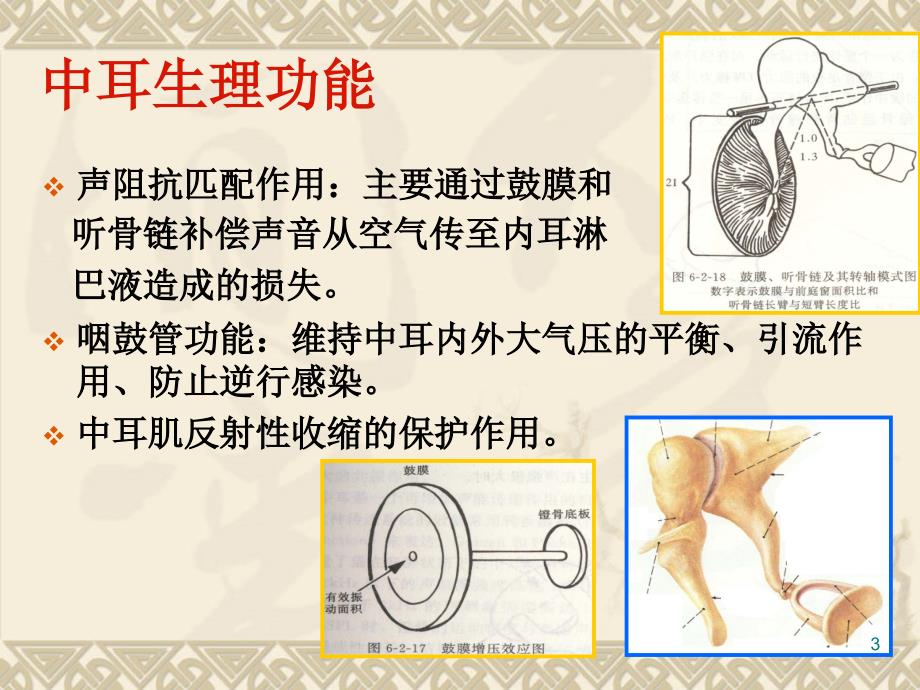 中耳疾病分泌性中耳炎急慢性中耳炎ppt课件_第3页