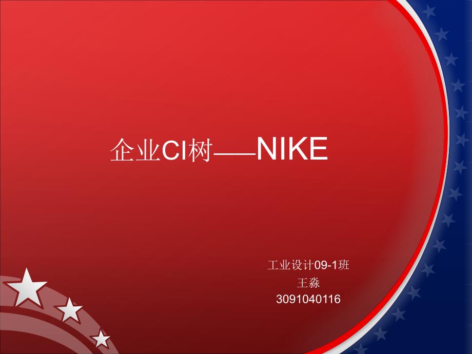 企业CI树NIKE_第1页