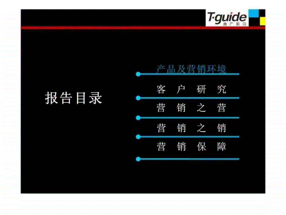 玖号院项目营销策划报告_第2页