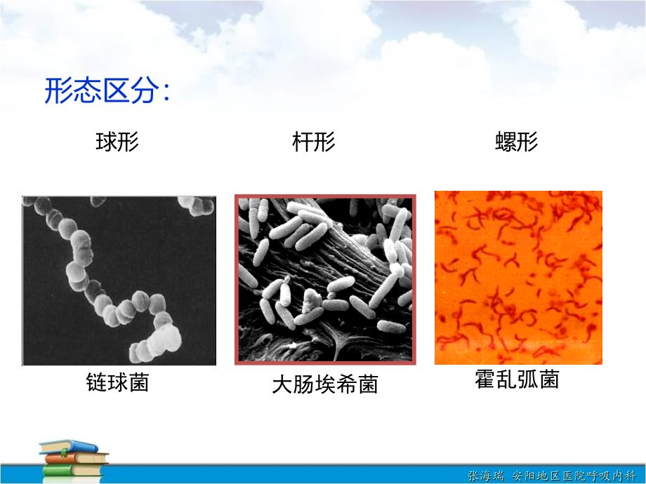 多重耐药革兰阴性杆菌感染诊治专家共识解读0722_第3页