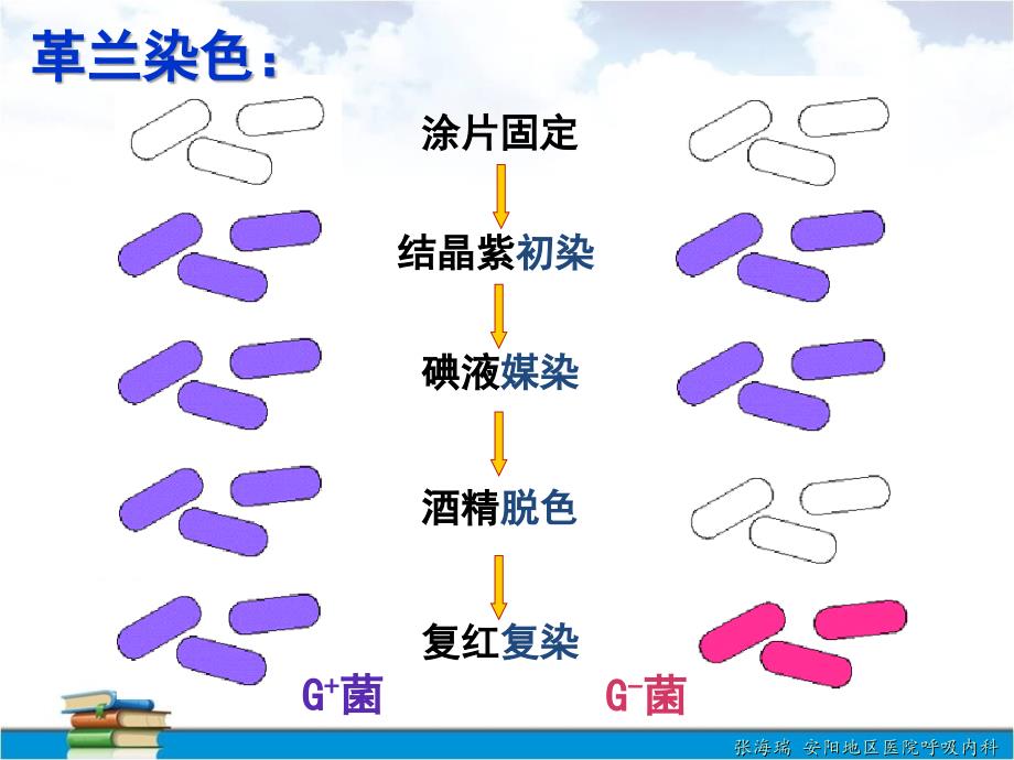 多重耐药革兰阴性杆菌感染诊治专家共识解读0722_第4页