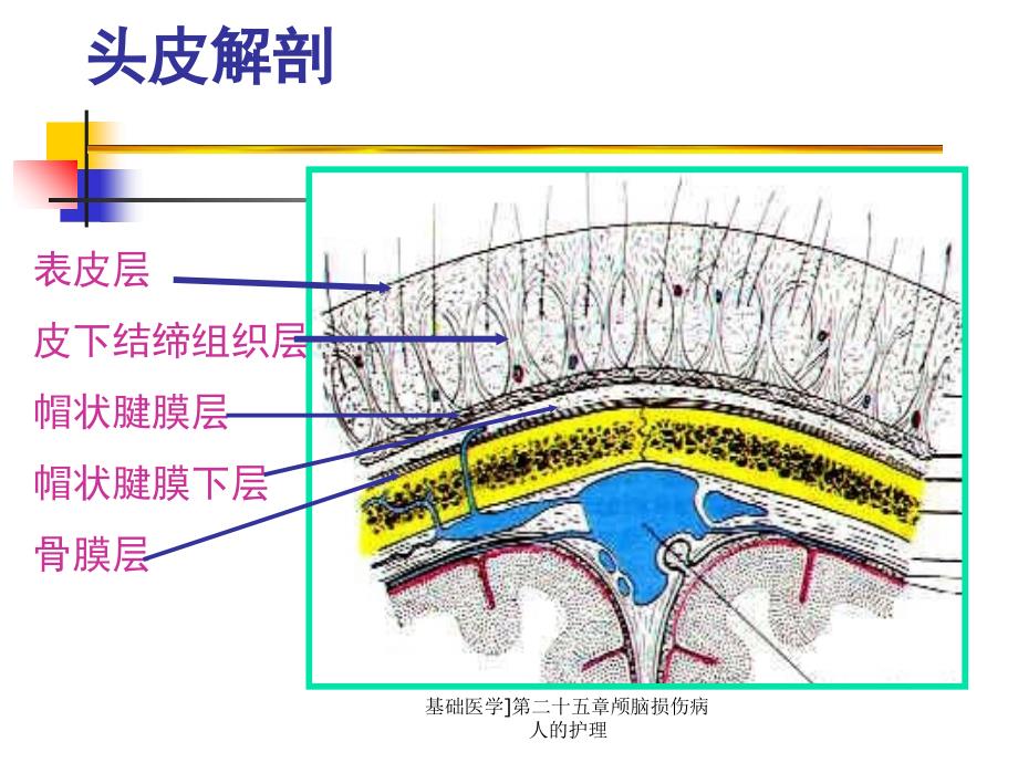 基础医学第二十五章颅脑损伤病人的护理课件_第3页