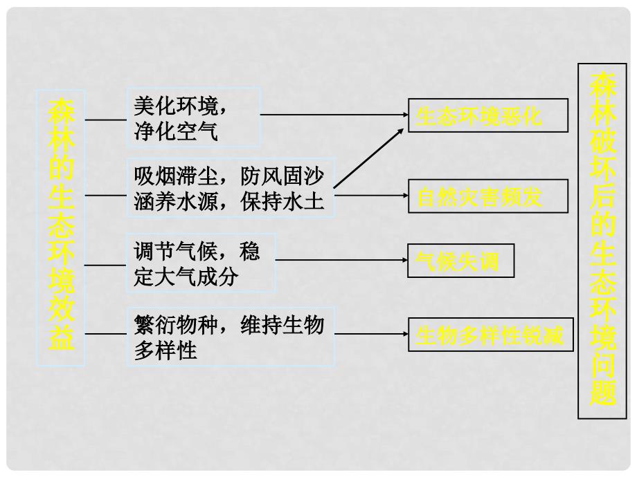 高中地理《22森林的开发和保护》课件1（人教版必修3）_第2页