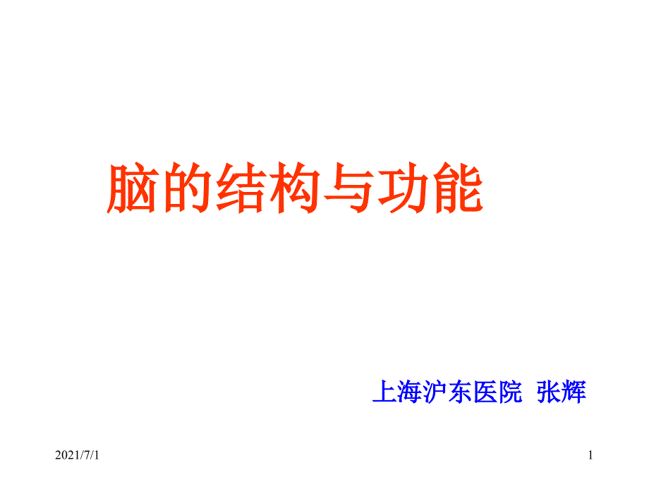 脑结构与功能_第1页