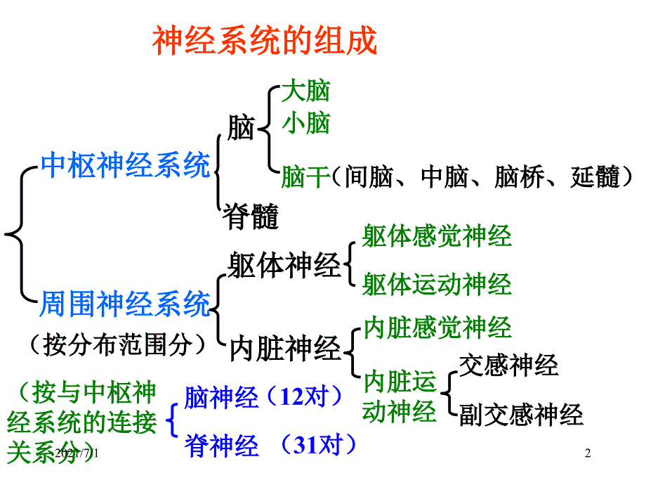 脑结构与功能_第2页