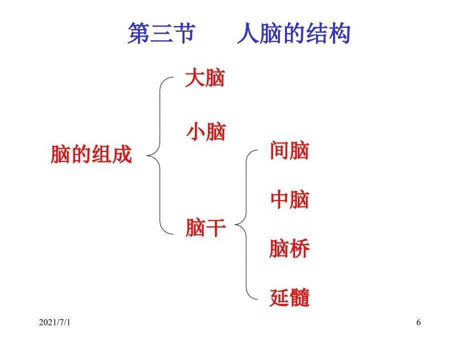 脑结构与功能_第5页