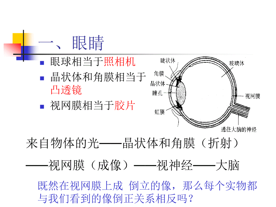 眼睛和眼镜_第4页