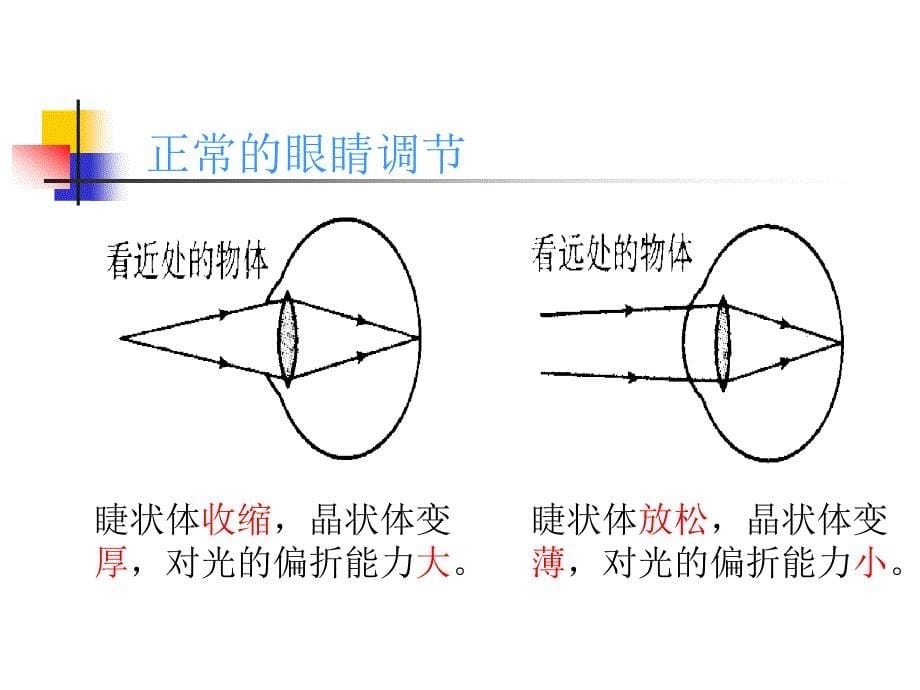 眼睛和眼镜_第5页