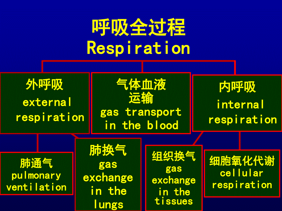 呼吸衰竭0119ppt课件_第2页