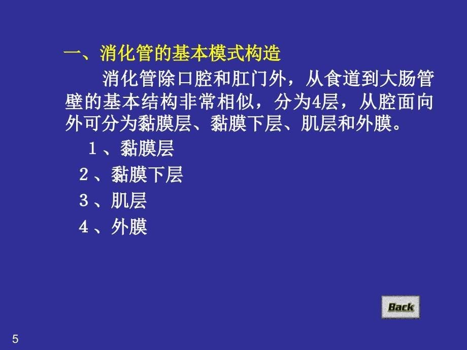 组织学消化器官_第5页