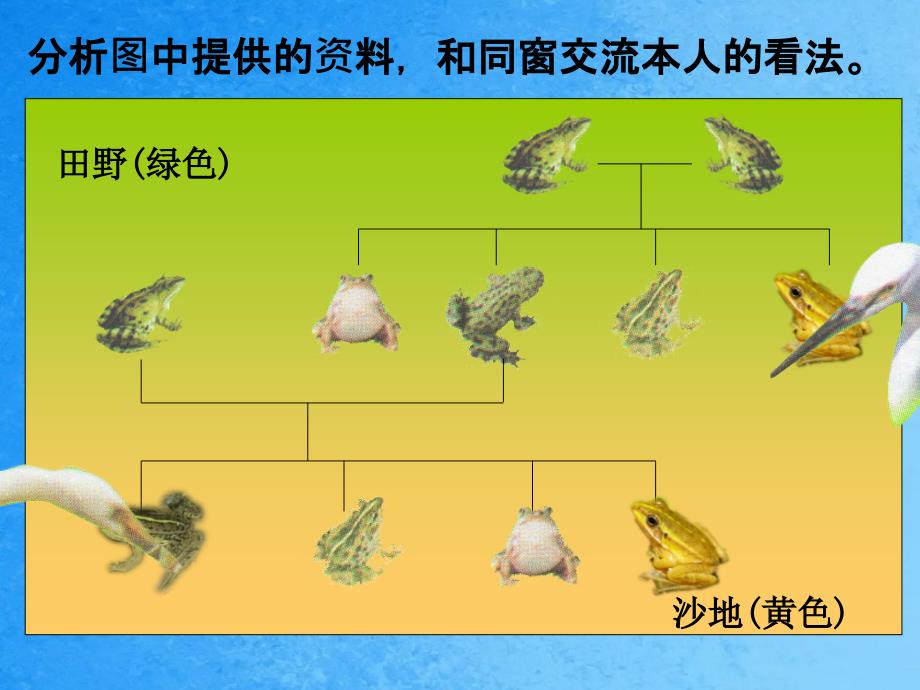 谁选择了它们ppt课件_第4页