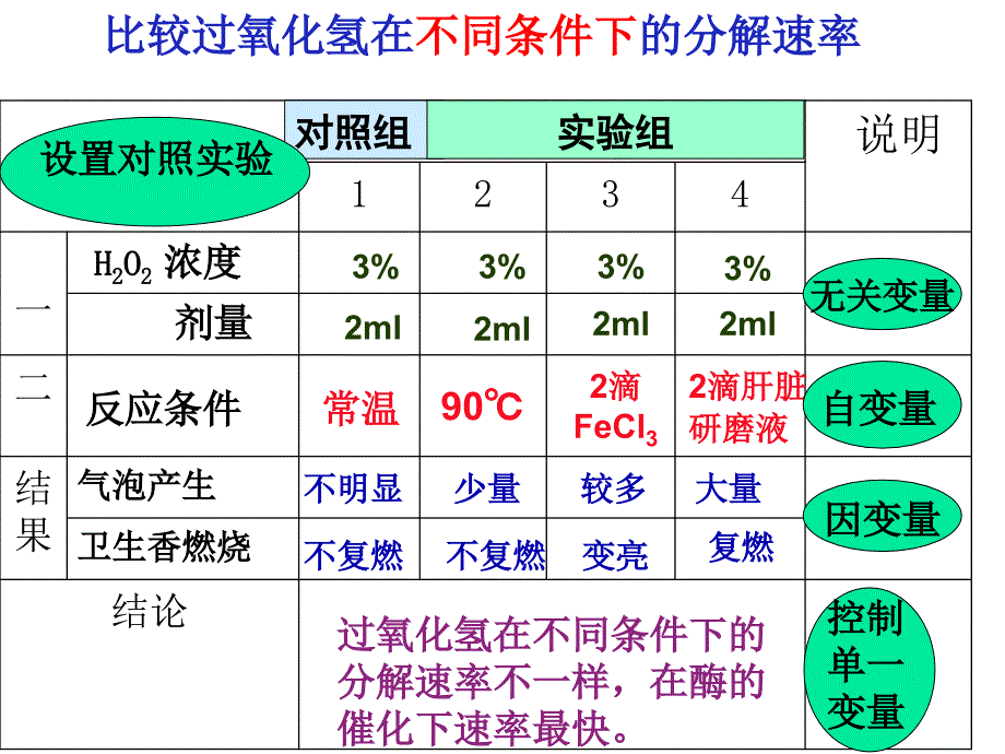 酶的相关实验_第1页