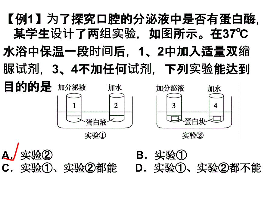 酶的相关实验_第2页