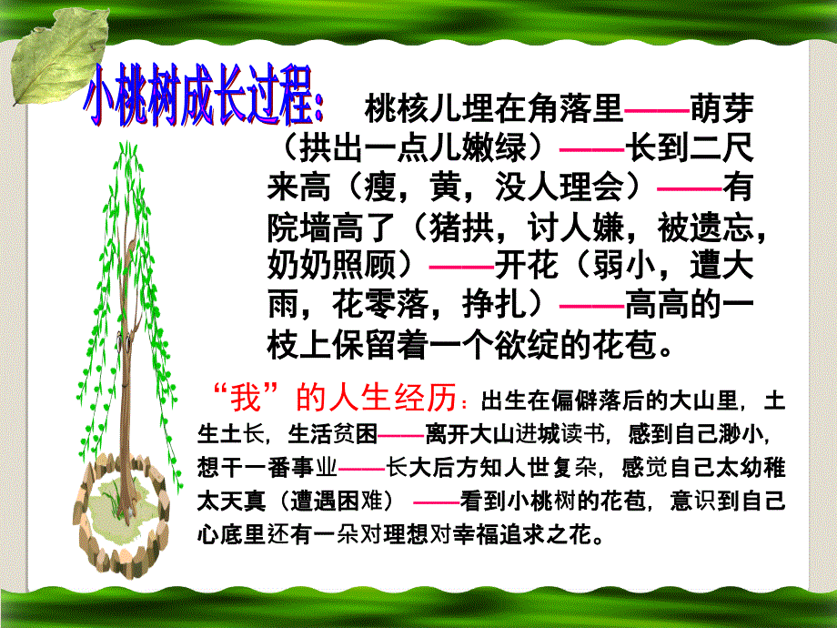 周飞一棵小桃树课件PPT_第4页