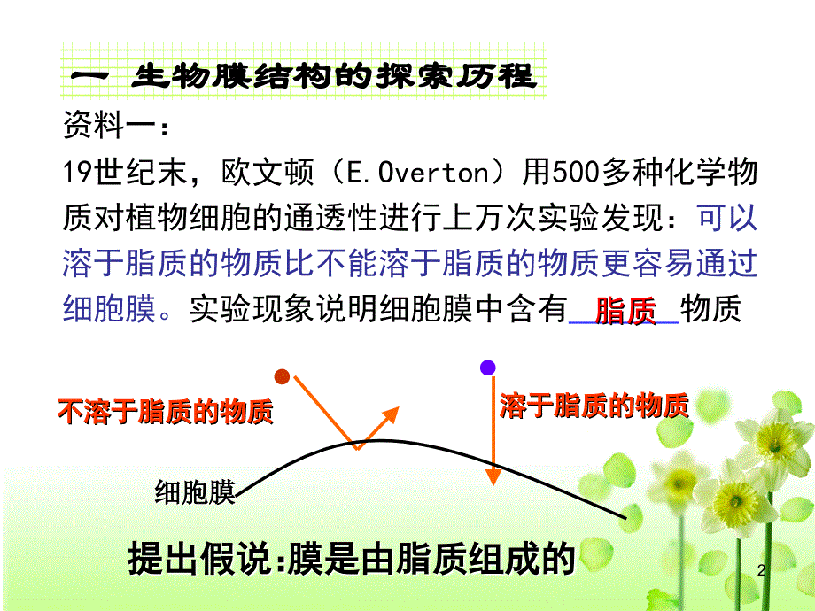 生物膜流动镶嵌模型.ppt_第2页