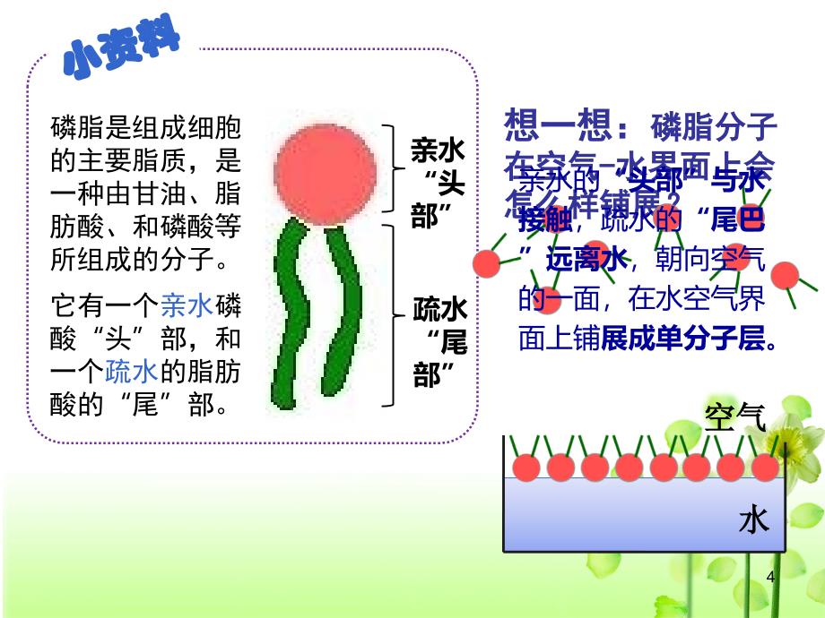 生物膜流动镶嵌模型.ppt_第4页