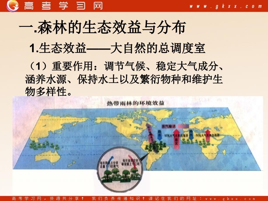 高中地理《森林的开发和保护—以亚马孙热带雨林为例》课件1（24张PPT）（新人教版必修3）_第4页