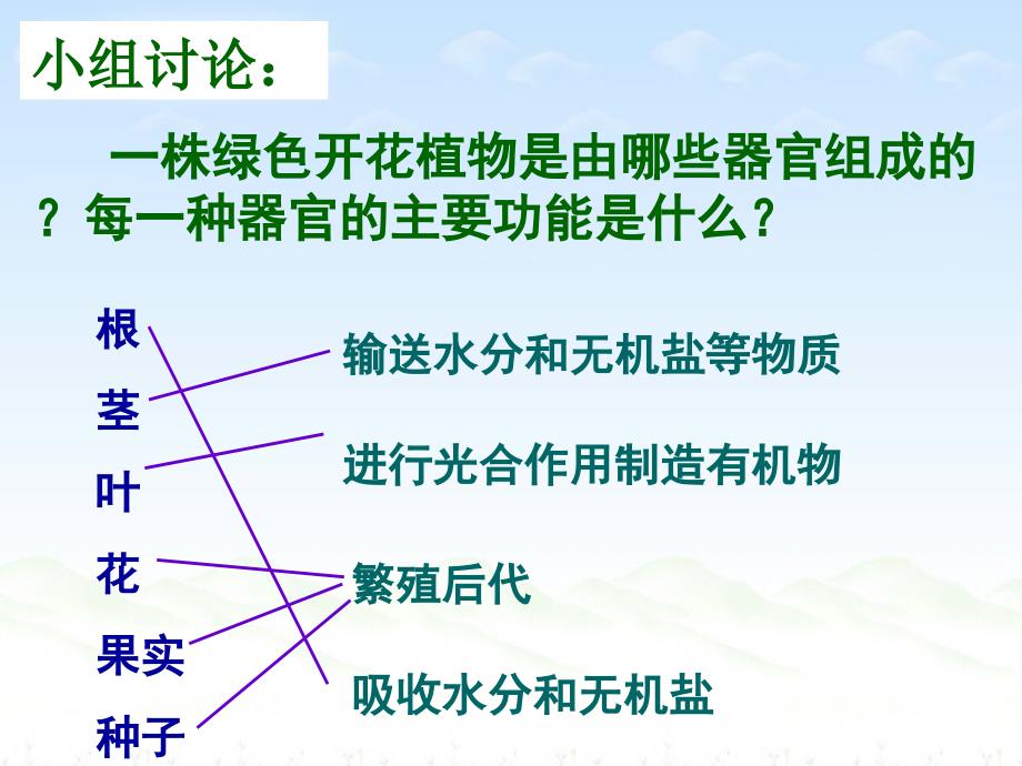 植物体的结构层次_第3页