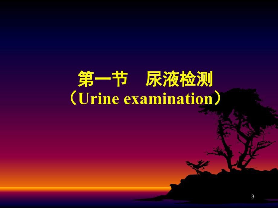 【学习课件】第四章_排泄物、分泌物及体液检测(尿液-临床)_第3页