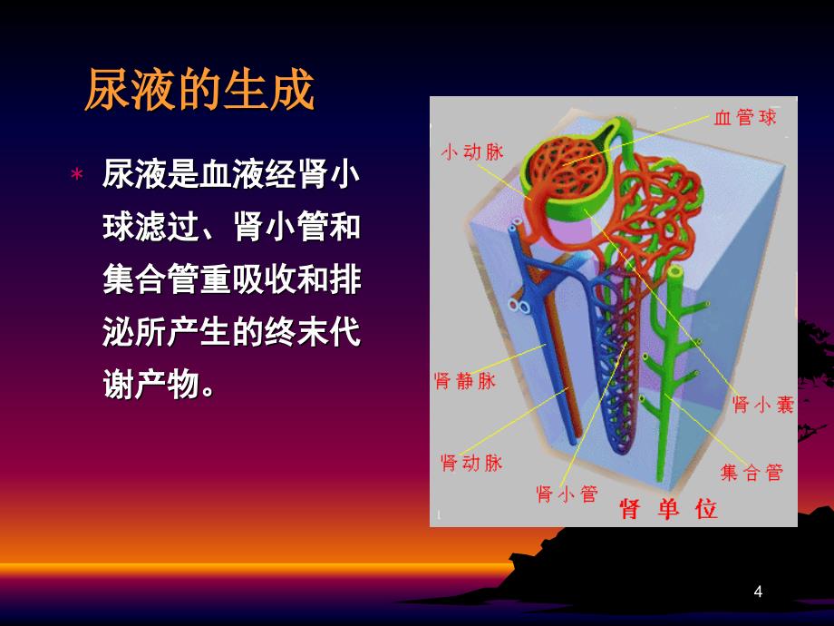 【学习课件】第四章_排泄物、分泌物及体液检测(尿液-临床)_第4页