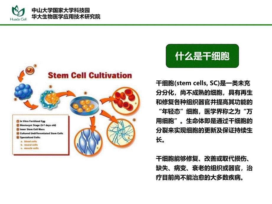 十六讲细胞技术与人类健康_第5页