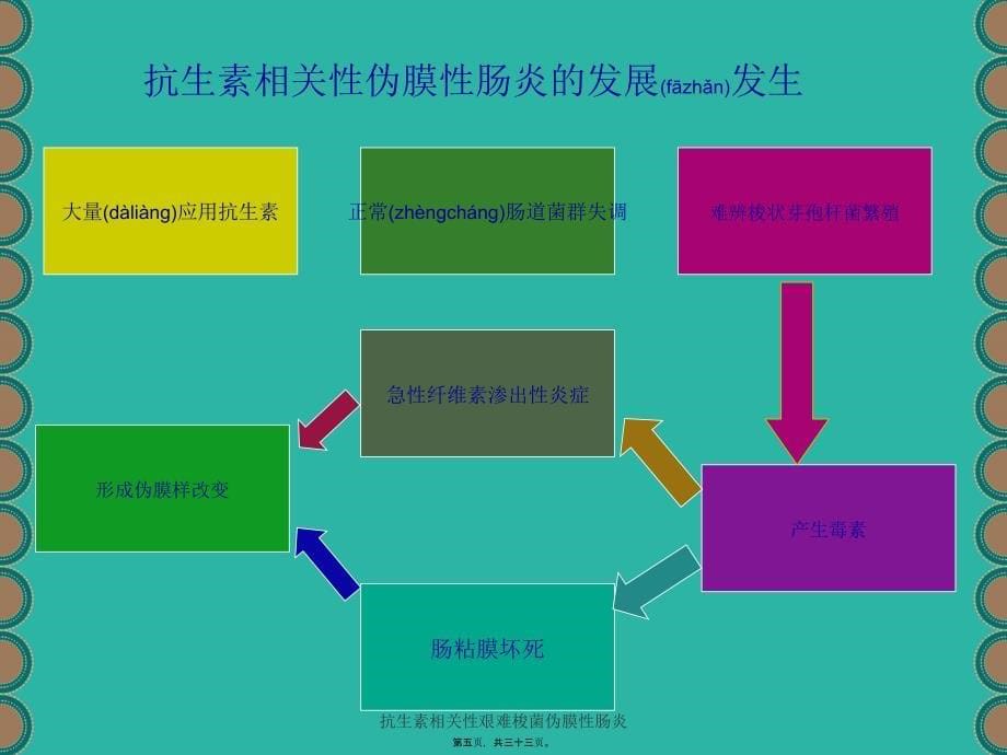 抗生素相关性艰难梭菌伪膜性肠炎课件_第5页