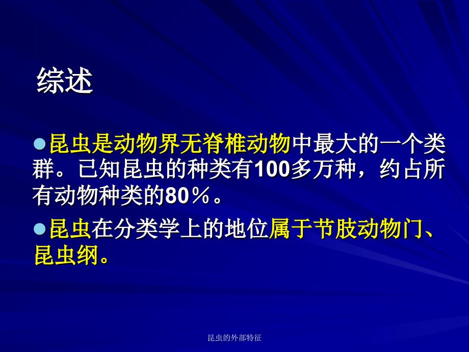 昆虫的外部特征课件_第2页