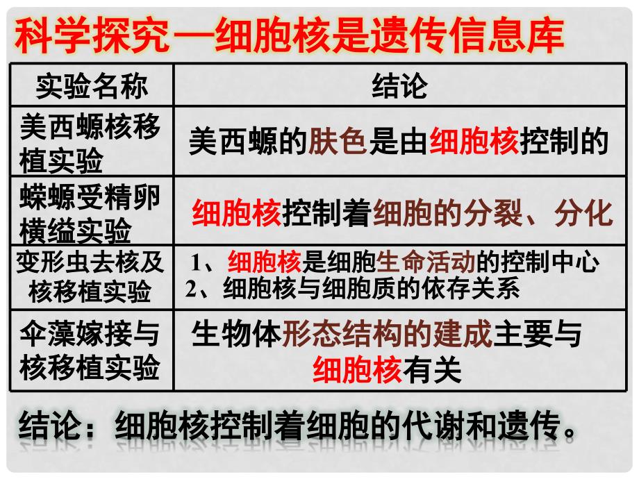 福建省寿宁县高中生物 第三章 细胞核课件 新人教版必修1_第2页