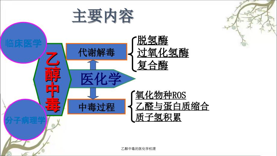 乙醇中毒的医化学机理课件_第3页