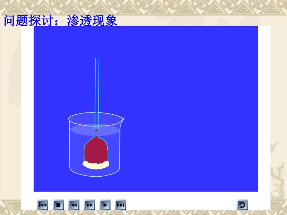 细胞的物质输入和输出课件_第3页