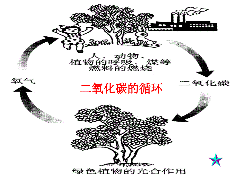 二氧碳的性质和用途_第3页