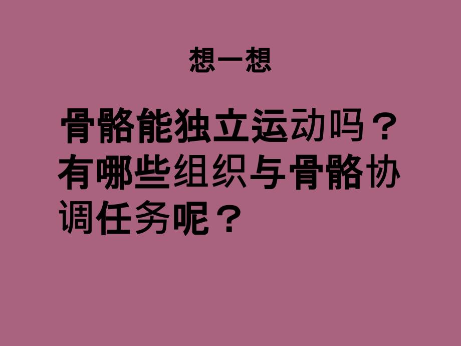 骨骼关和肌肉PPT课件_第3页