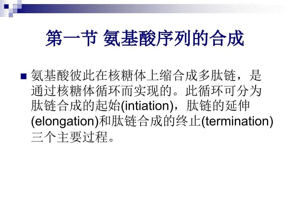 南师大-分子生物学课件备课讲稿_第5页