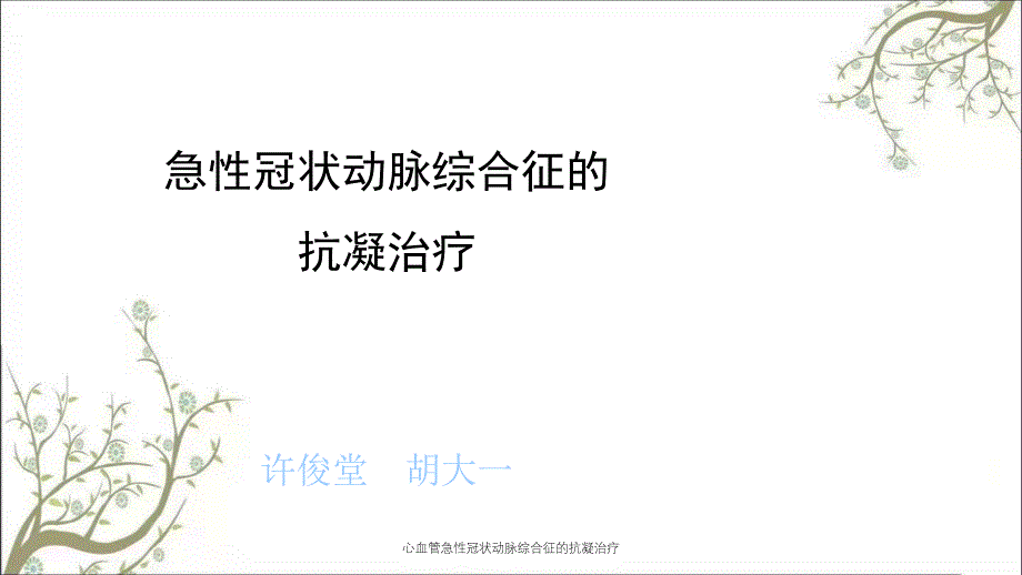 心血管急性冠状动脉综合征的抗凝治疗_第1页