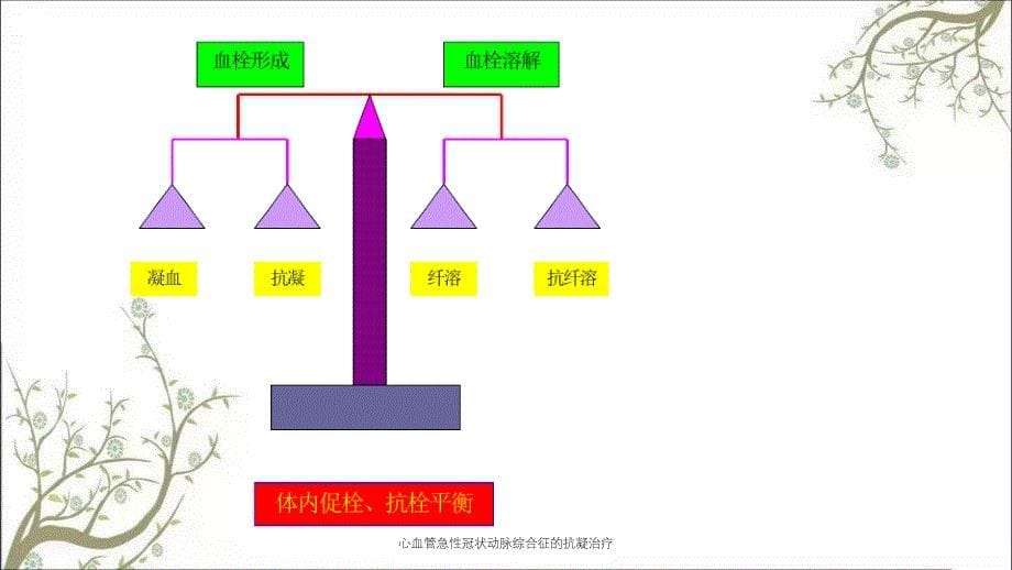 心血管急性冠状动脉综合征的抗凝治疗_第5页