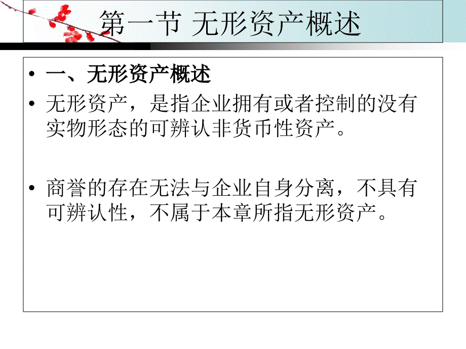 无形资产业务的核算_第2页