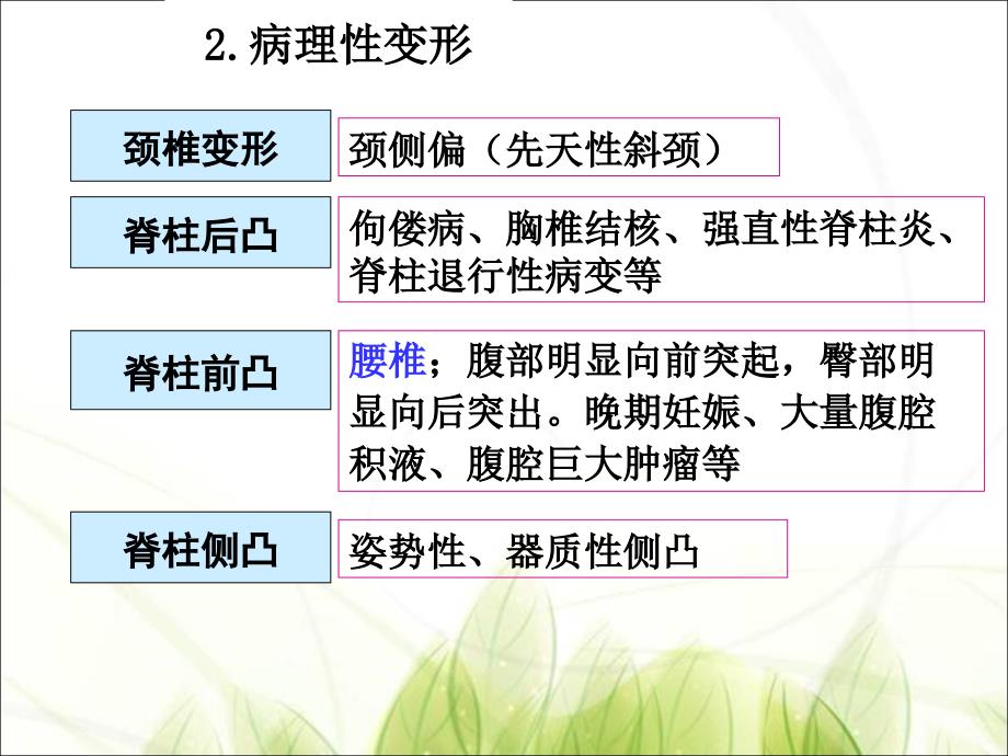 脊柱四肢评估PPT优秀课件_第4页